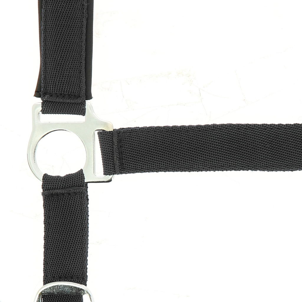 LICOL NORTON DOUBLE NEOPRENE – Image 6