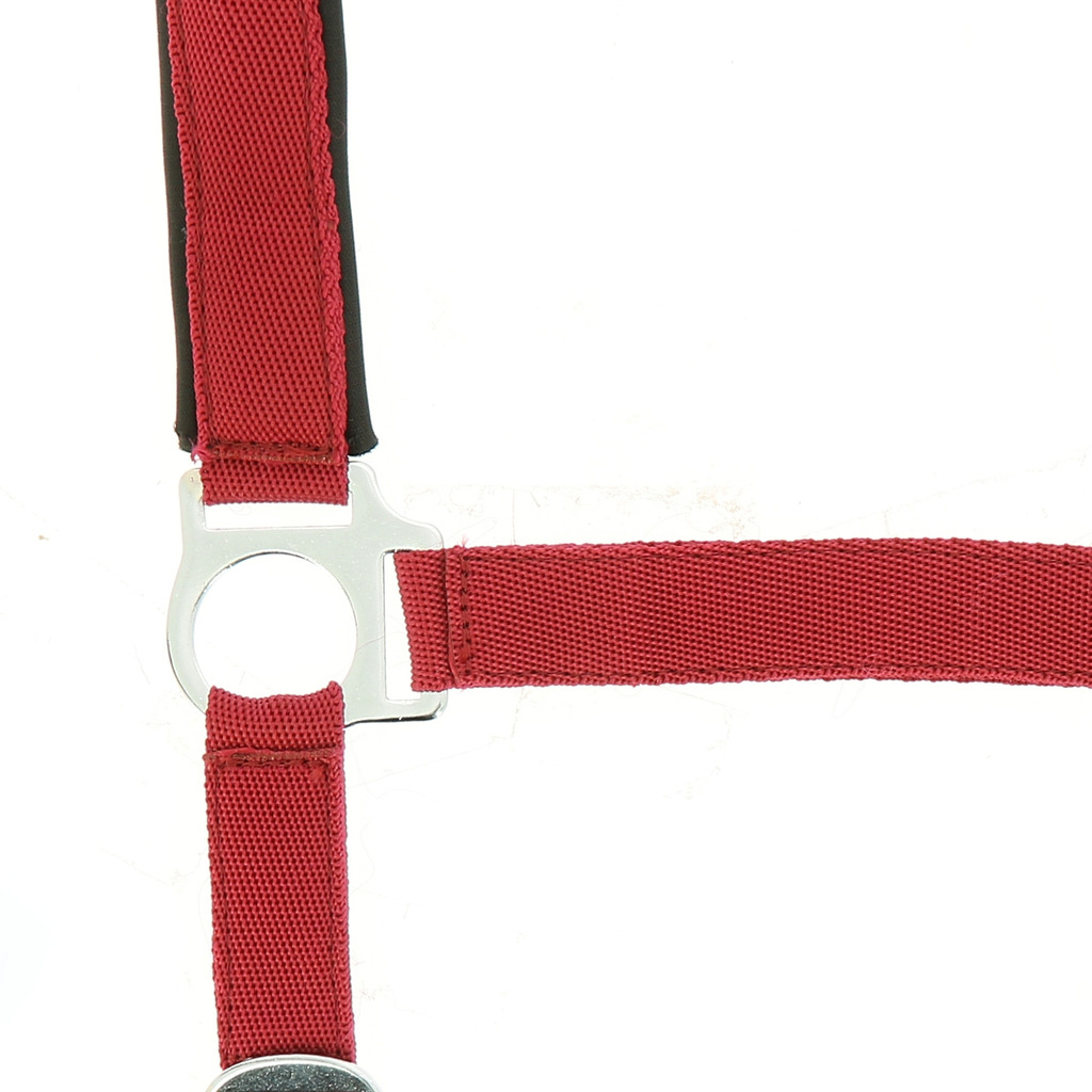 LICOL NORTON DOUBLE NEOPRENE – Image 7