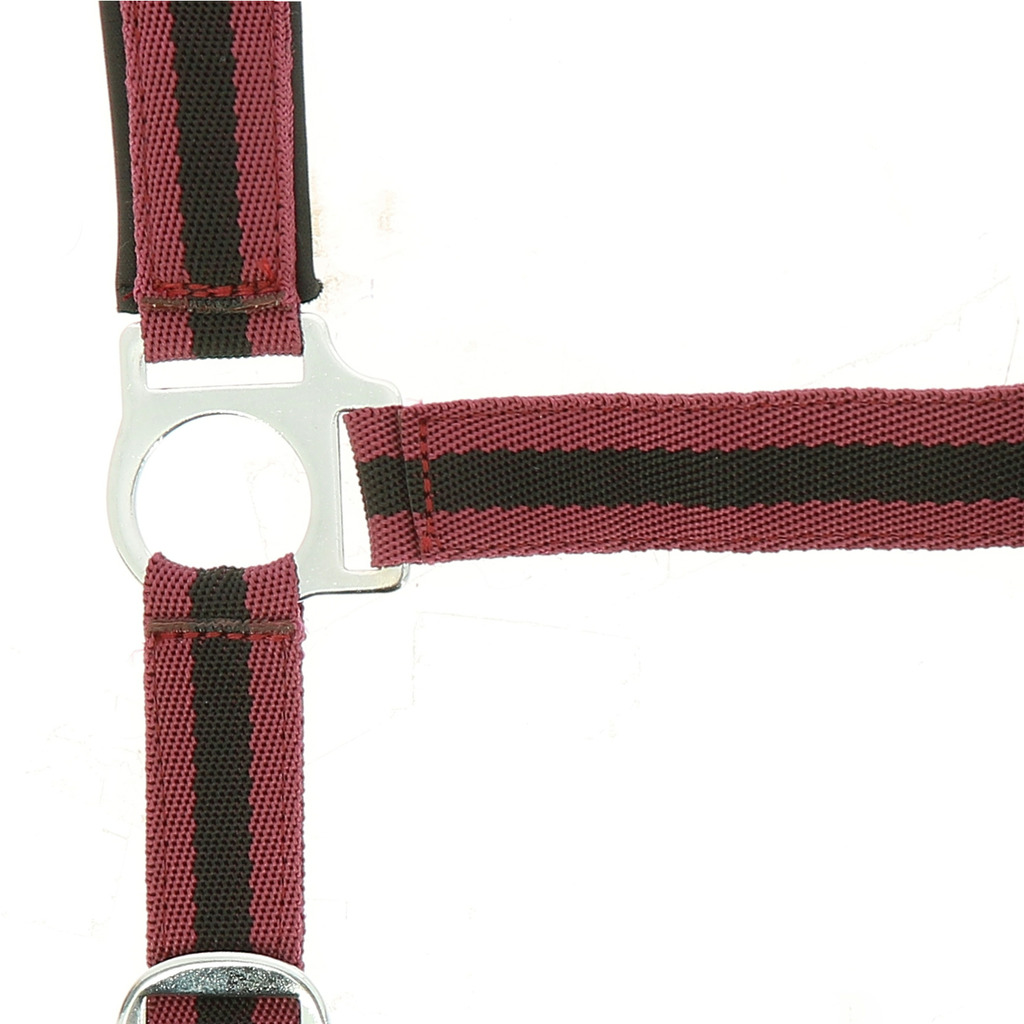 LICOL NORTON DOUBLE NEOPRENE – Image 3
