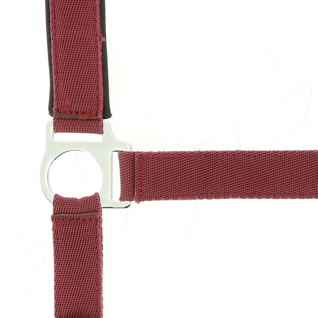 LICOL NORTON DOUBLE NEOPRENE – Image 2