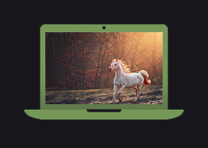 Notre site et sa E-Boutique, enfin !