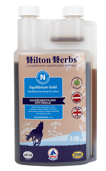EQUILIBRIUM GOLD HILTON HERBS