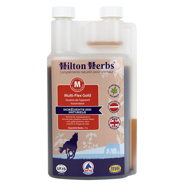 MULTI-FLEX GOLD HILTON HERBS