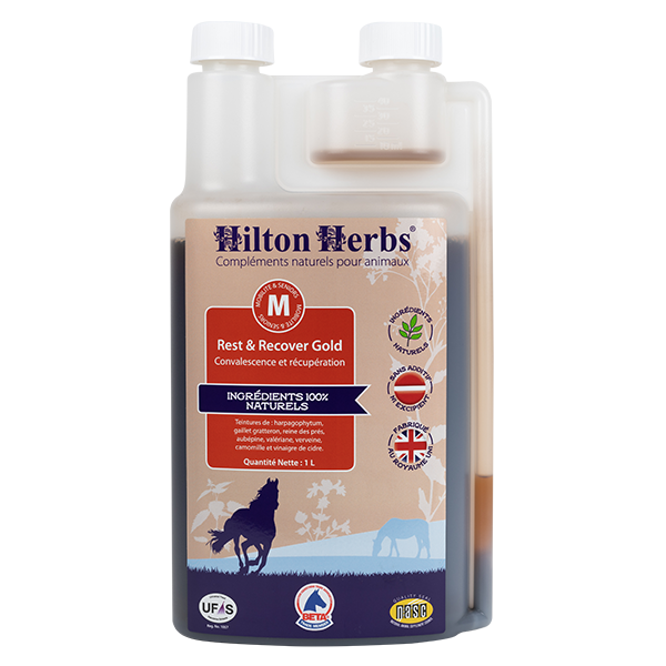 REST & RECOVER GOLD HILTON HERBS