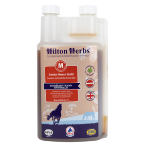 SENIOR HORSE GOLD HILTON HERBS