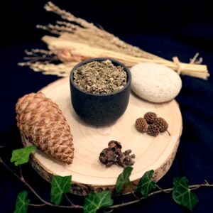 ARTICHAUT BIO