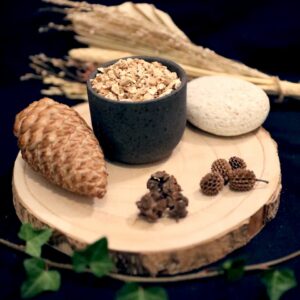CHICOREE BIO