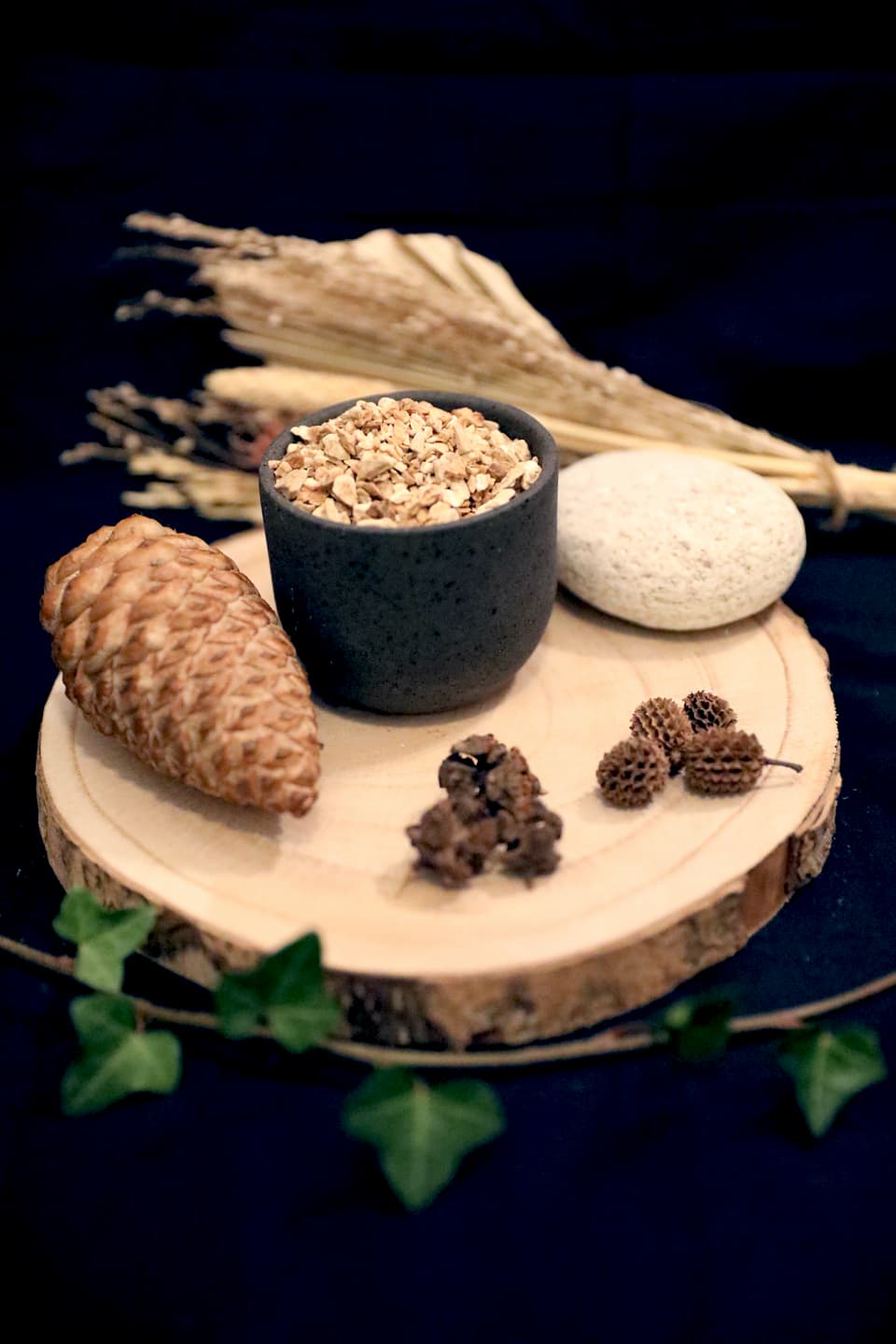 CHICOREE BIO