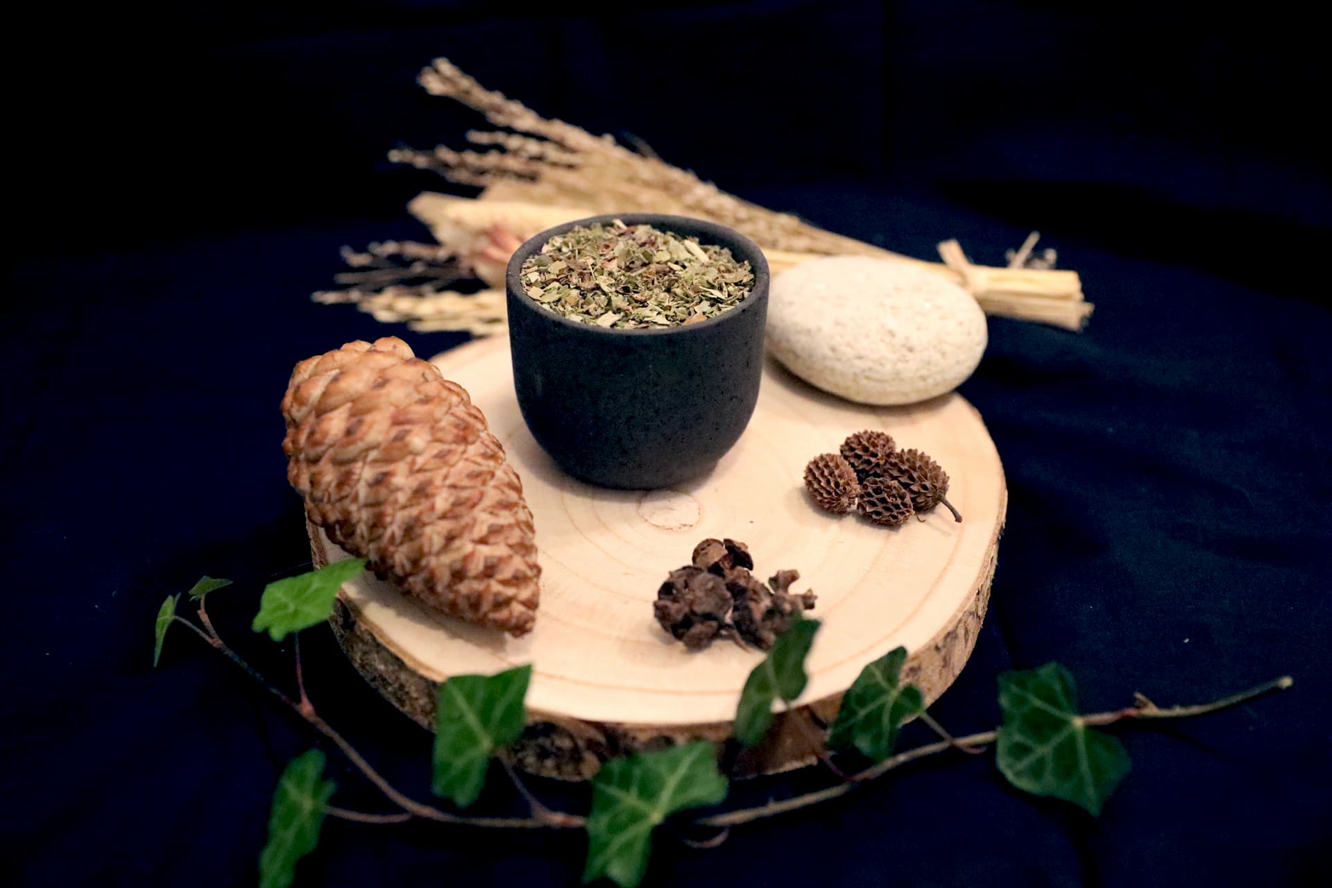 TUSSILAGE BIO