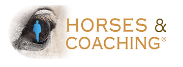 Horses and coaching