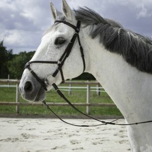BRIDON RIDING WORLD MUSEROLLE CROISEE