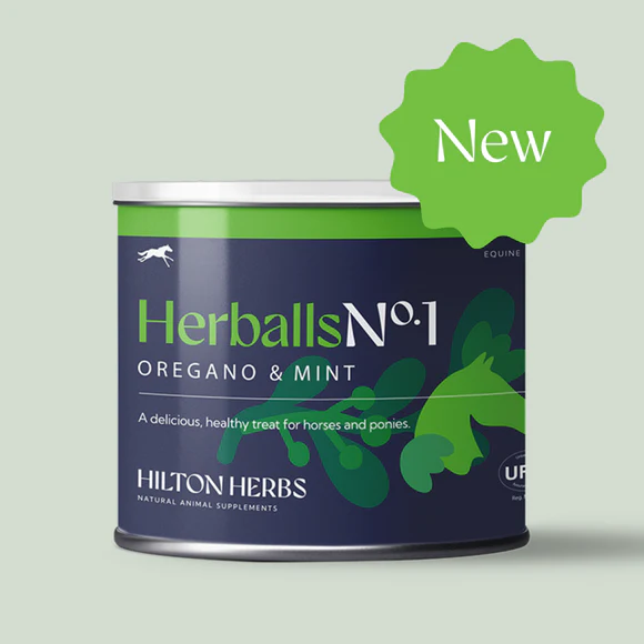 HERBALLS HILTON HERBS – Image 3