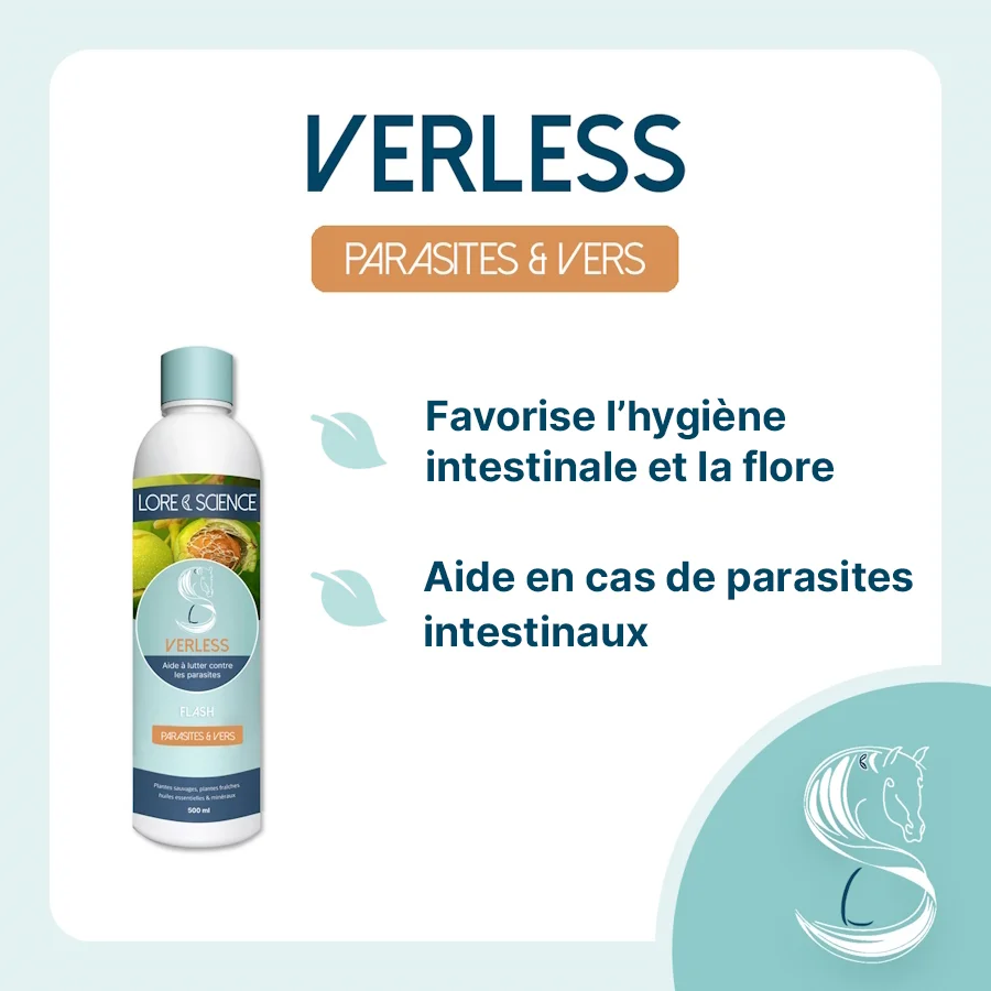 VERLESS LORE & SCIENCE – Image 4