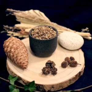 Plantes sèches - Bouillon blanc bio
