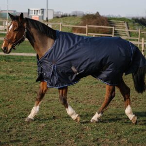 COUVERTURE EQUITHEME CLASSIC 600D