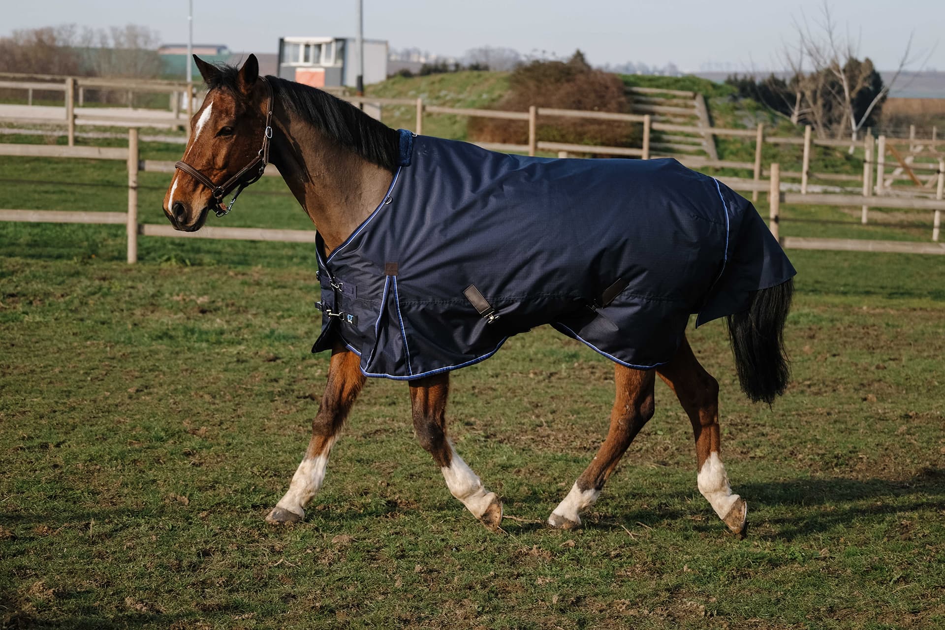 COUVERTURE EQUITHEME CLASSIC 600D