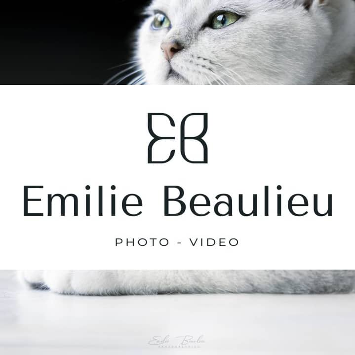 Émilie Beaulieu Photographe