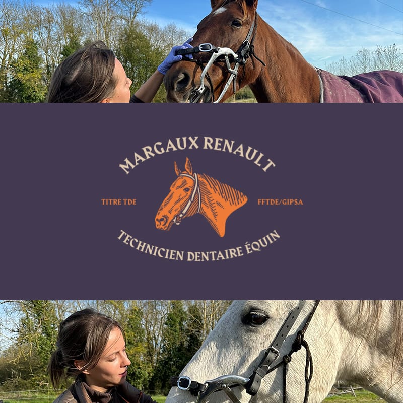 Margaux Renault - Dentiste équin