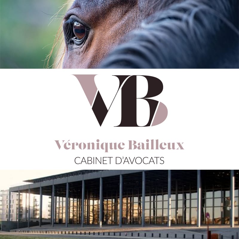 Véronique Bailleux Avocate