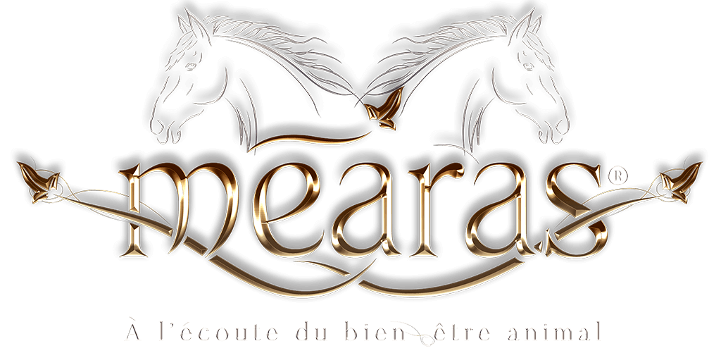 Mearas - À l'écoute du bien-être animal