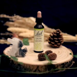 Fleurs de Bach - Olive