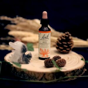 Fleurs de Bach - Red Chestnut - Marronnier rouge