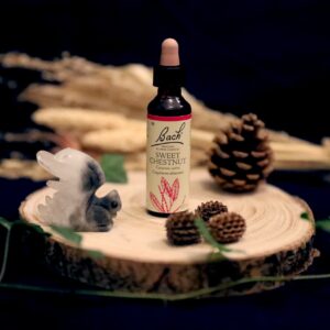 Fleurs de Bach - Sweet Chetnut - Chataigner