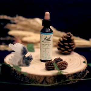 Fleurs de Bach - Vervain - Vervaine