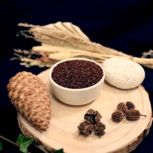 Plantes sèches - Psyllium brun bio