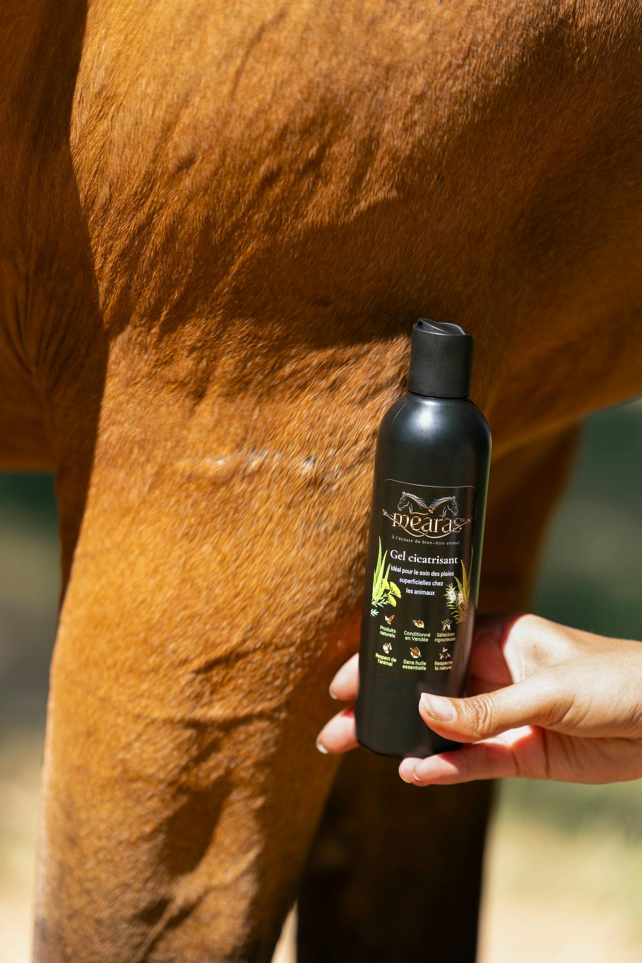 Mearas - Gel cicatrisant pour chevaux