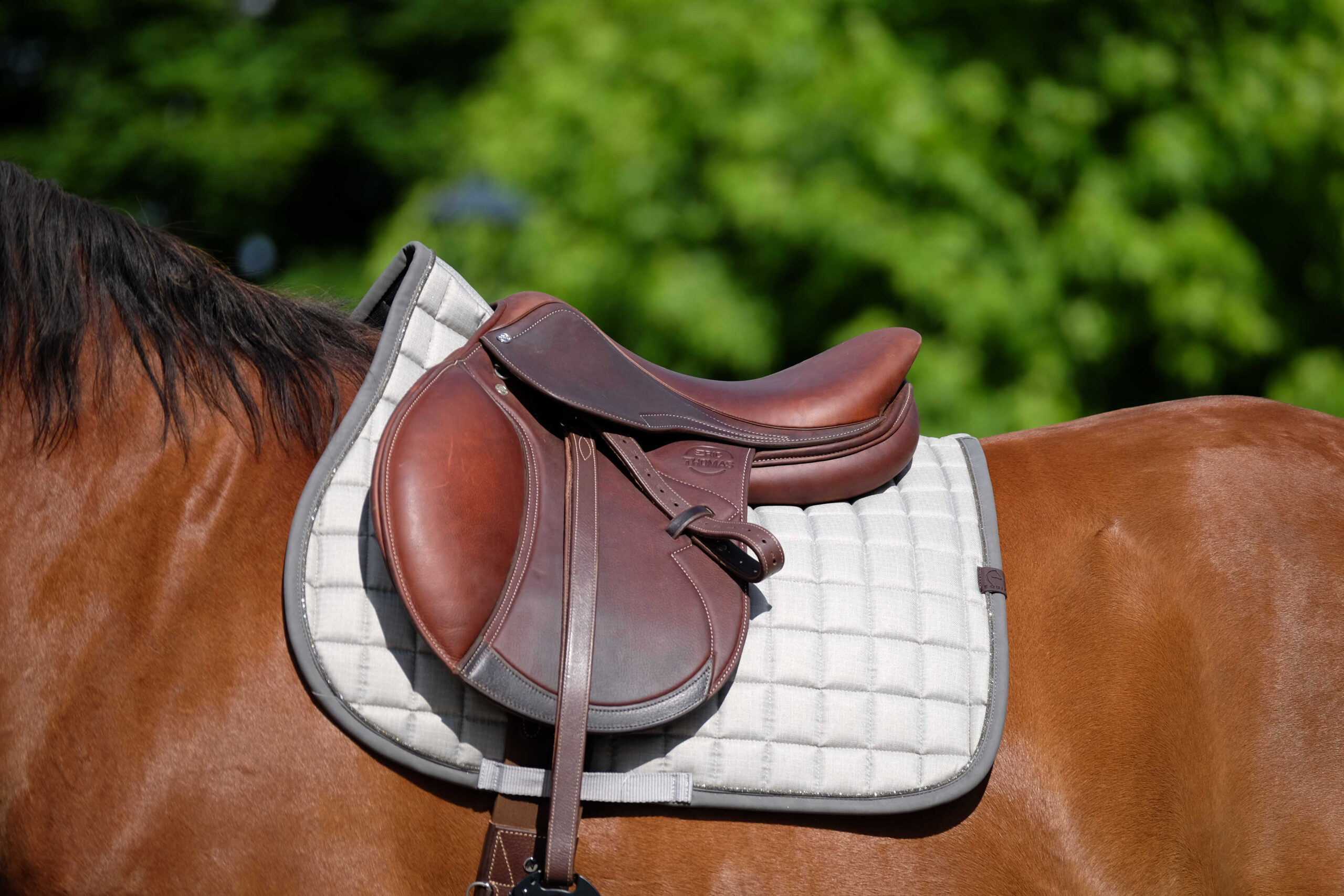 Tapis de selle EQUITHÈME - Chic