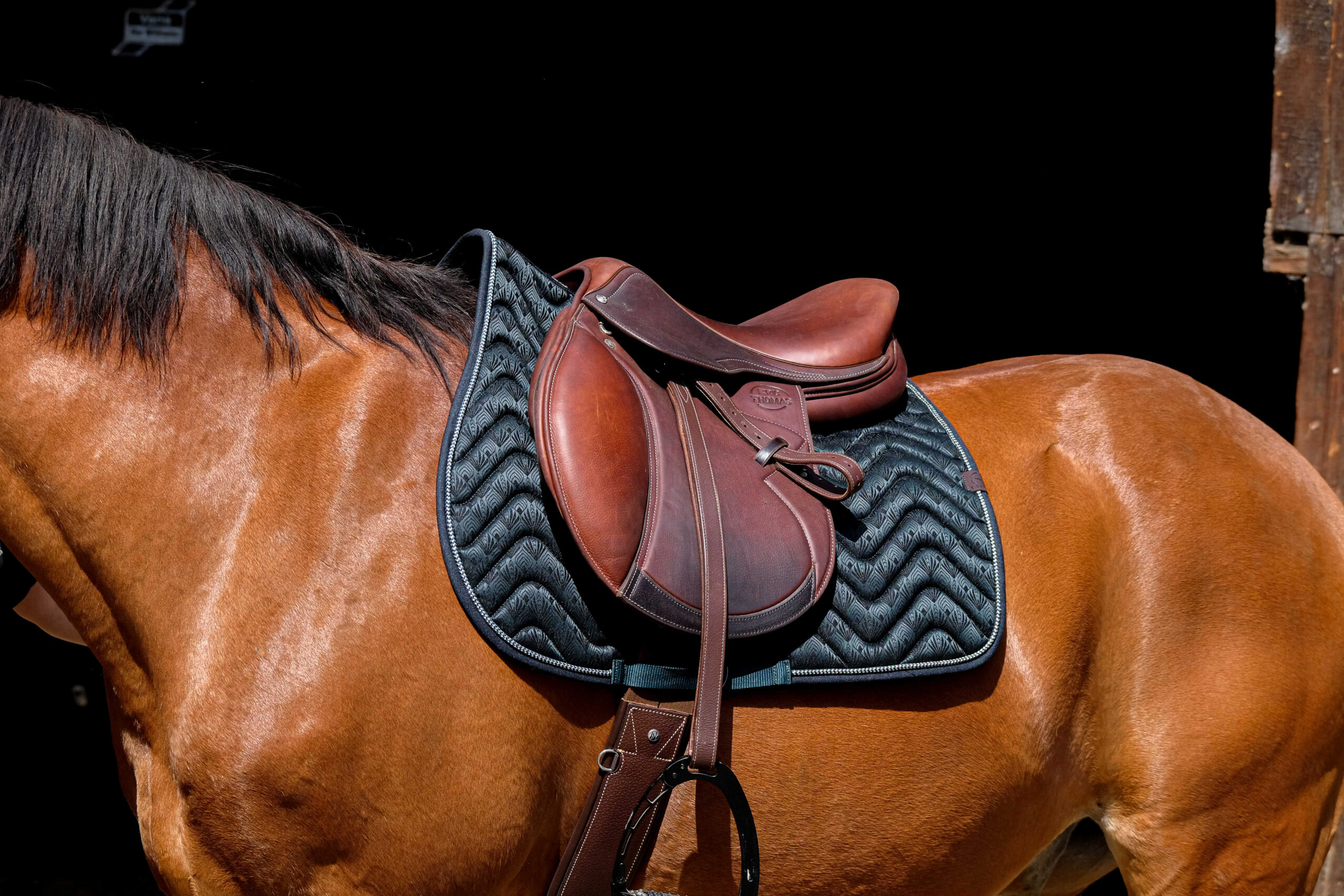 Tapis de selle EQUITHÈME - Brocart