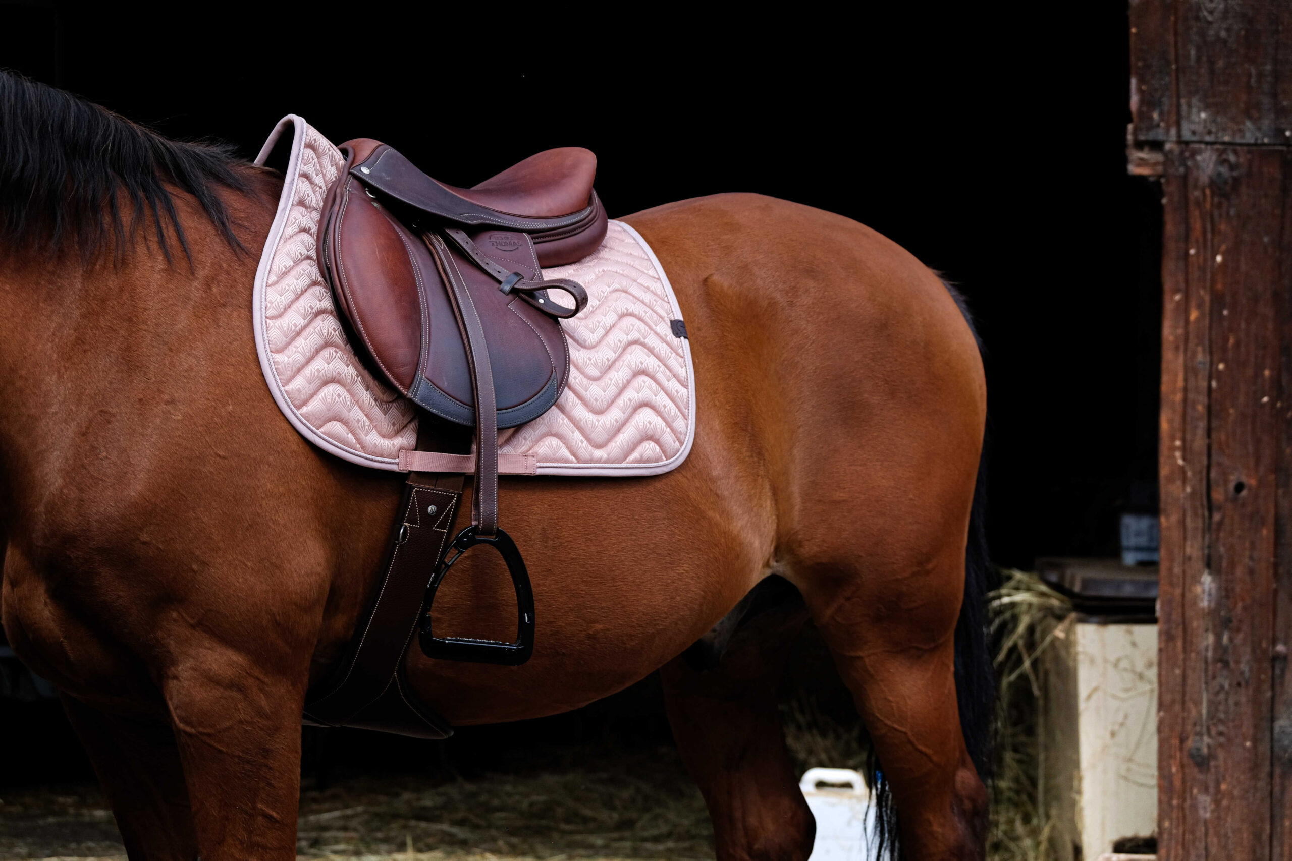 Tapis de selle EQUITHÈME - Brocart