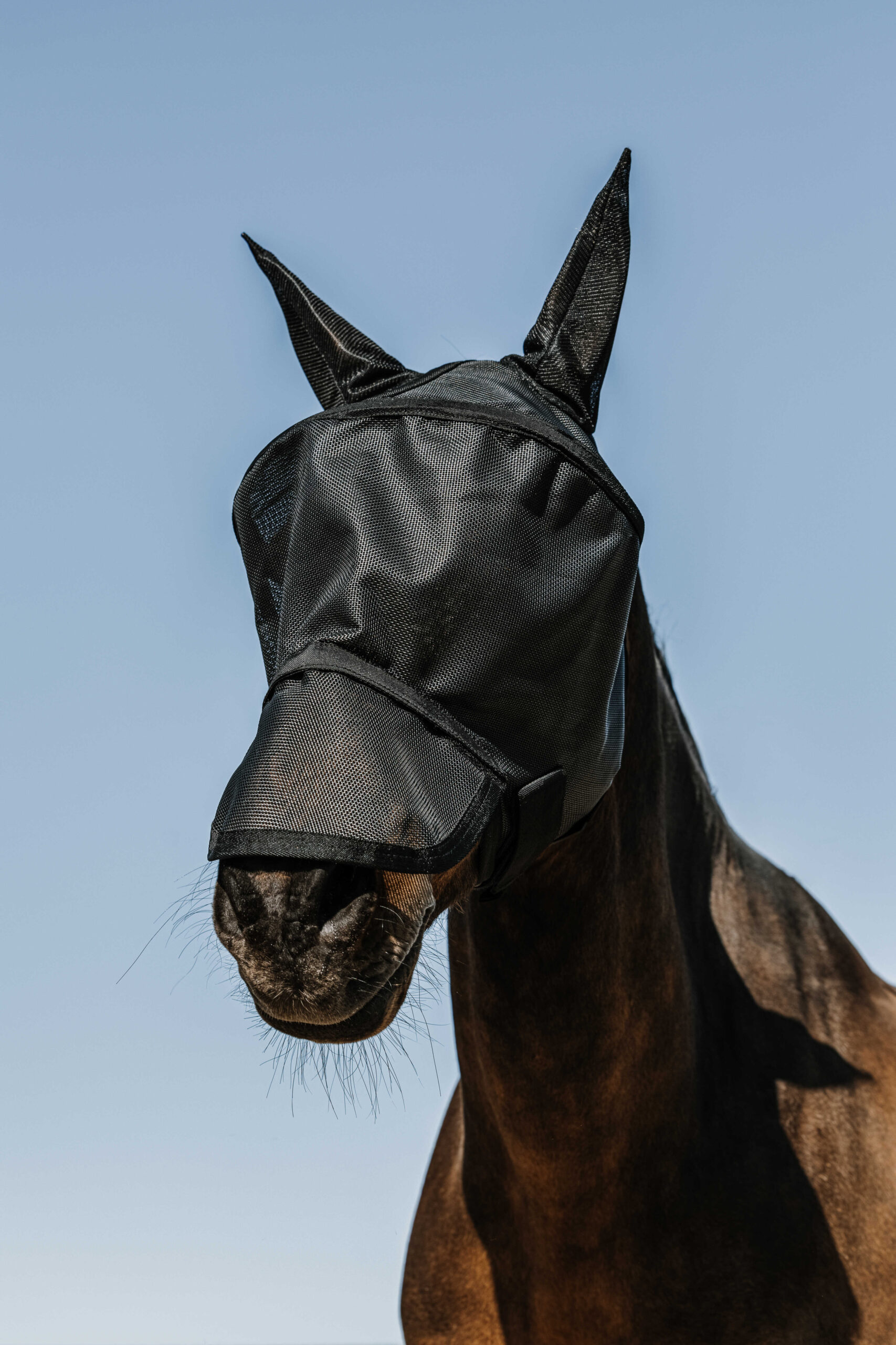 Masque anti-mouches anti-UV EQUITHÈME - Protec