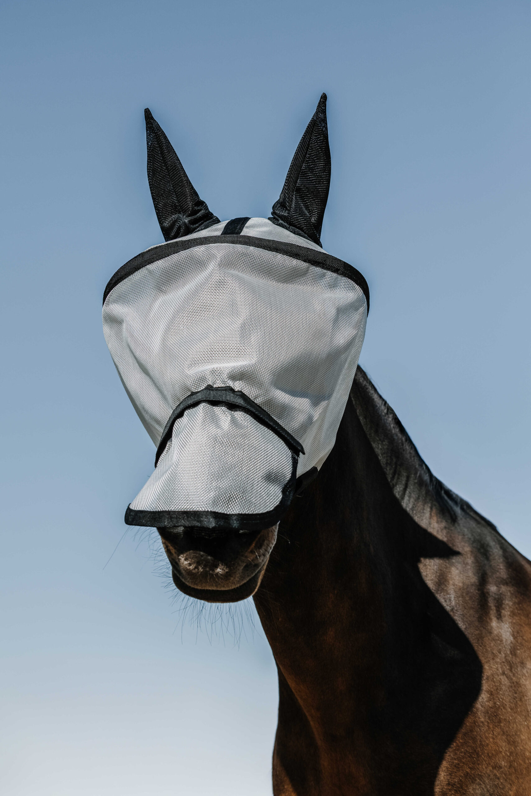 MASQUE ANTI-MOUCHES ANTI-UV EQUITHÈME - PROTEC – Image 8