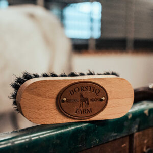 Brosse de tête BORSTIQ - Polypropylène