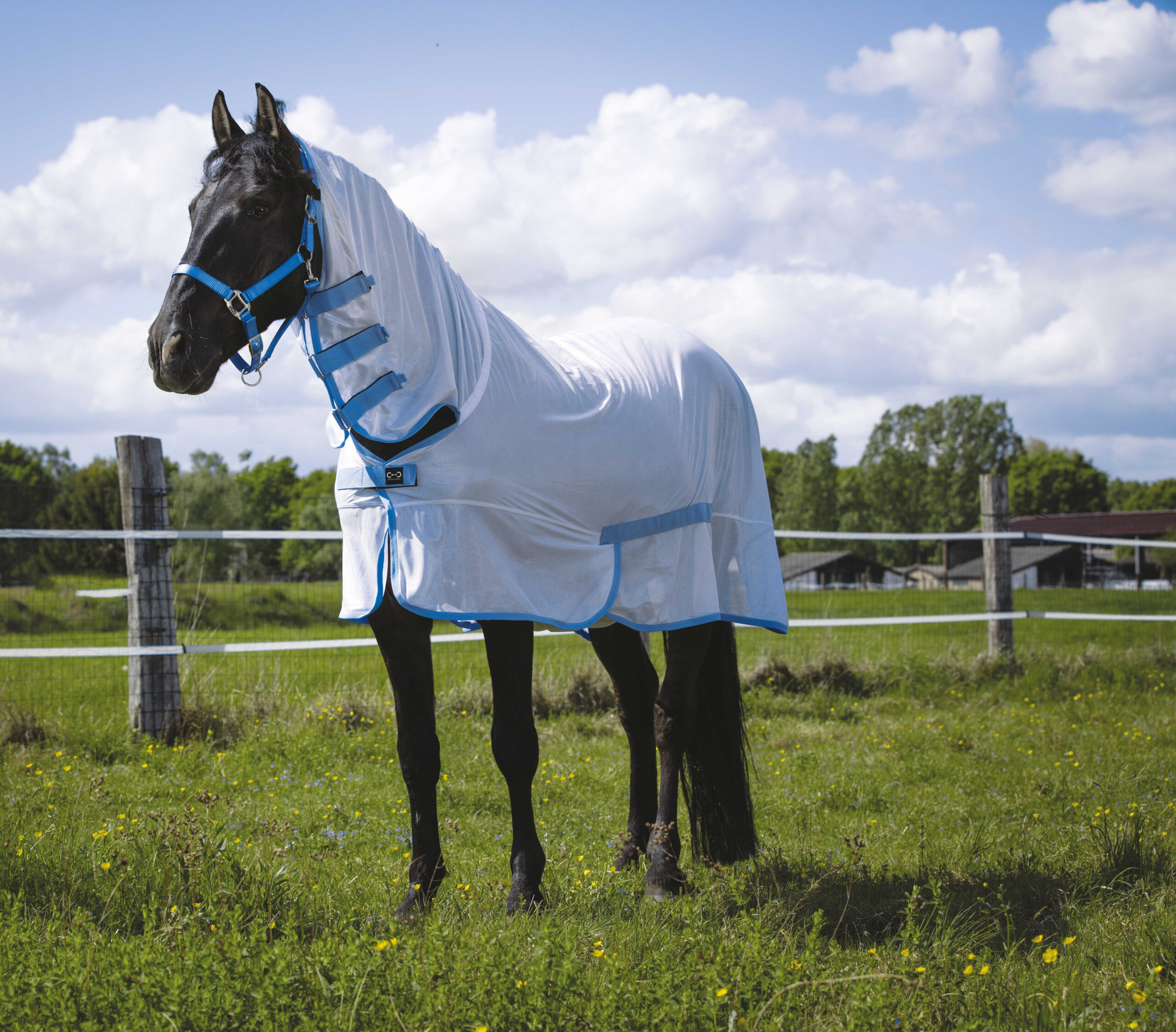 CHEMISE FILET RIDING WORLD - COMBO