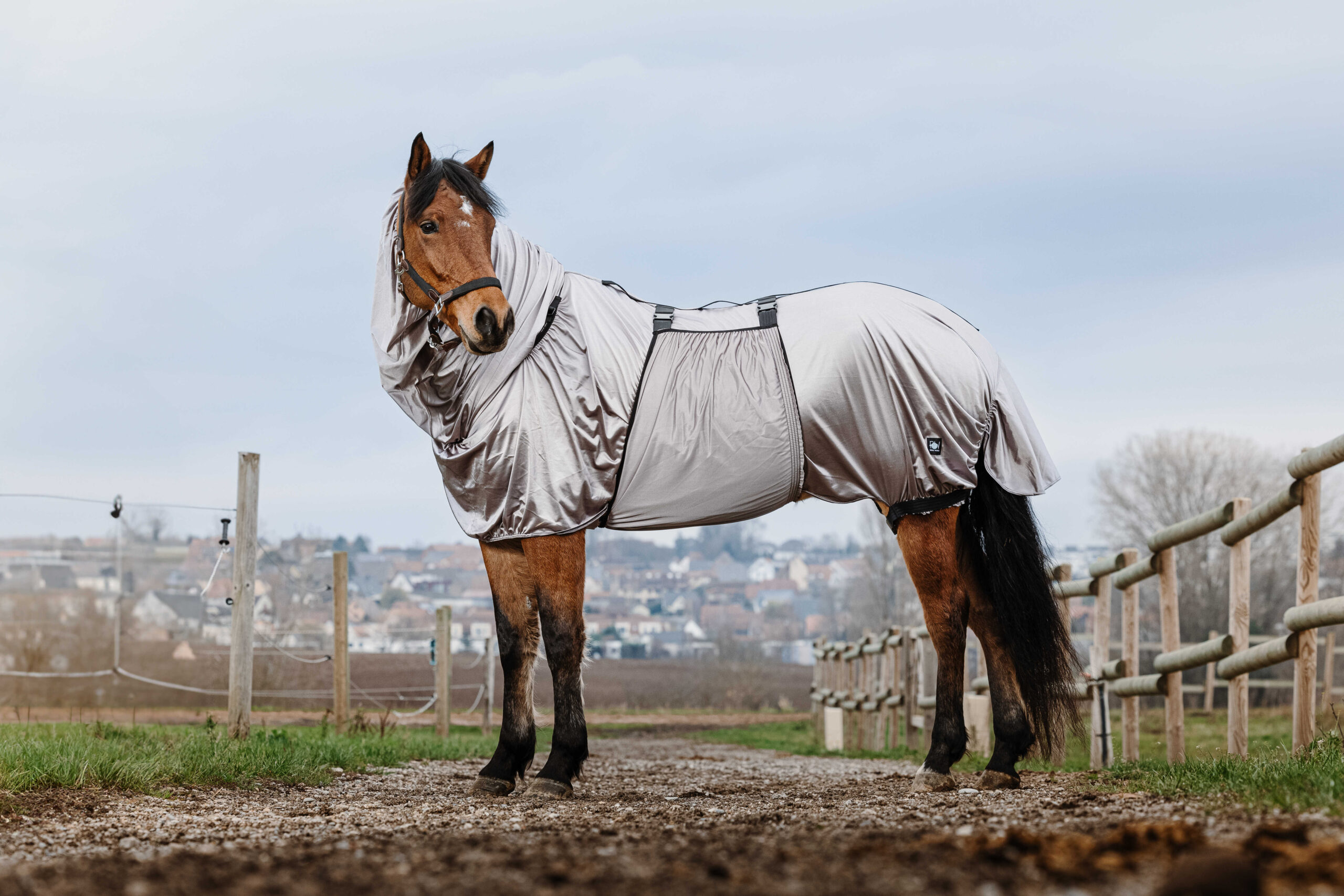 Chemise anti-eczéma RIDING WORLD