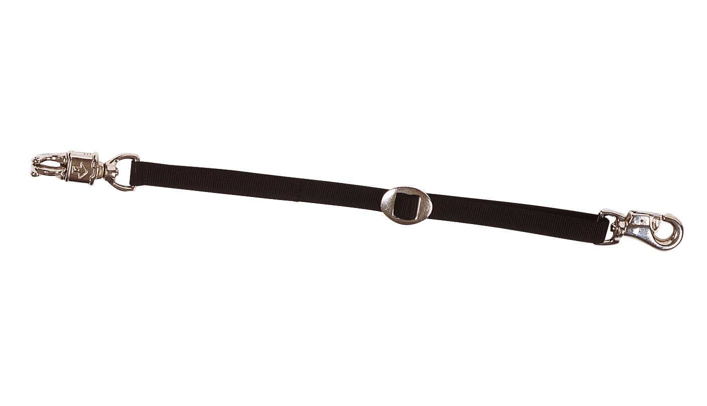 Longe d'attache NORTON pour camion