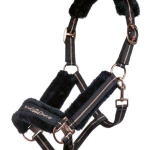 licol rosegold noir